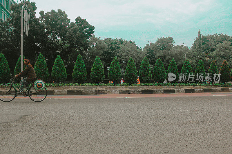在Jalan Jendral Sudirman路边，骑自行车的人在一排树旁经过